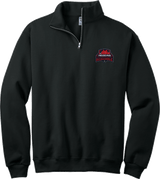 Philadelphia Resistance NuBlend 1/4-Zip Cadet Collar Sweatshirt