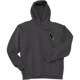 Wilmington Nighthawks Super Heavyweight Fleece Hoodie